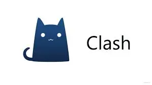 在 Windows 上使用 Clash For Windows